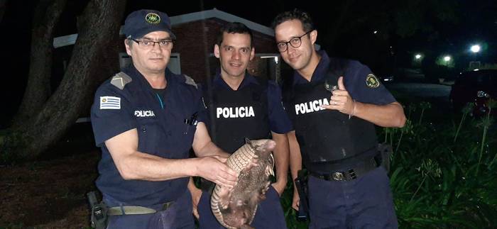 Policías de Minas con el tatú de rabo molle.
Foto: genitleza de Washington Hornes 