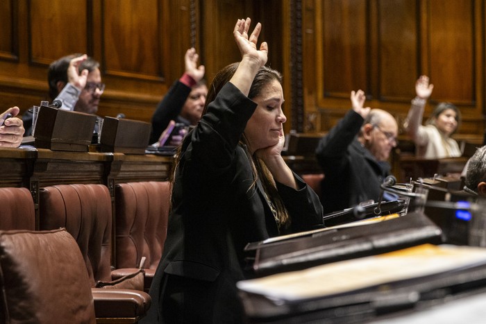 María Eugenia Roselló, en la Cámara de Diputados (archivo, junio de 2024). · Foto: Ernesto Ryan