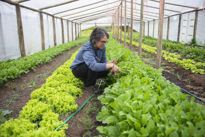 Betania Burgueño, productora de Wayra, chacra de producción agroecológica. · Foto: Alessandro Maradei