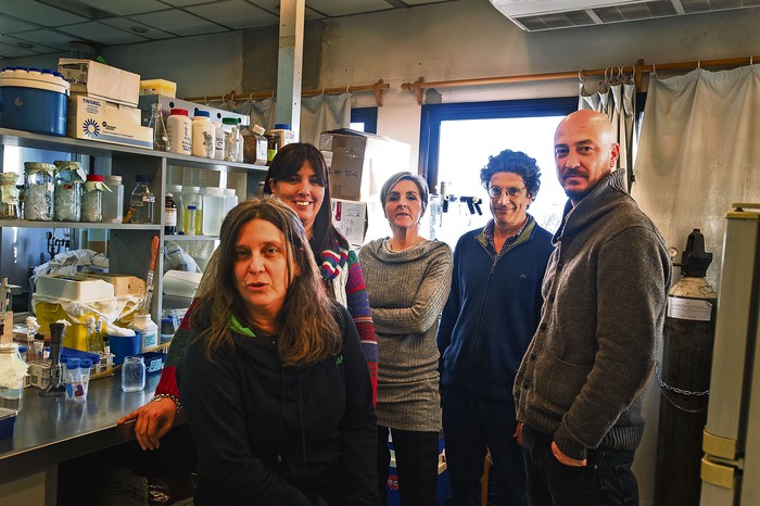 Claudia Piccini, Marcela Martínez, Cecilia Scorza, Pablo Zunino y Andres Abin-Carriquiry. · Foto: Federico Gutiérrez