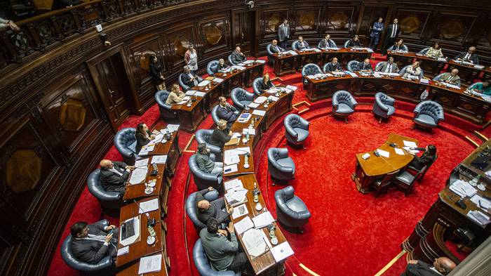 Sesión del Senado durante la votación de la ley de tenencia compartida, el 5 de mayo. · Foto: .